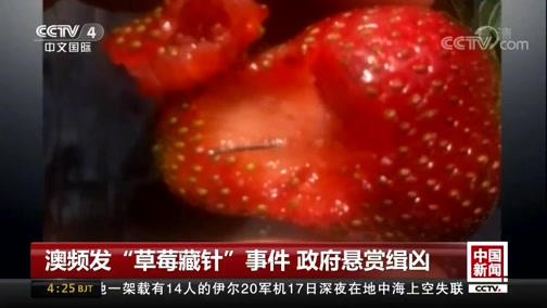 澳频发“草莓藏针”事件政府悬赏缉凶